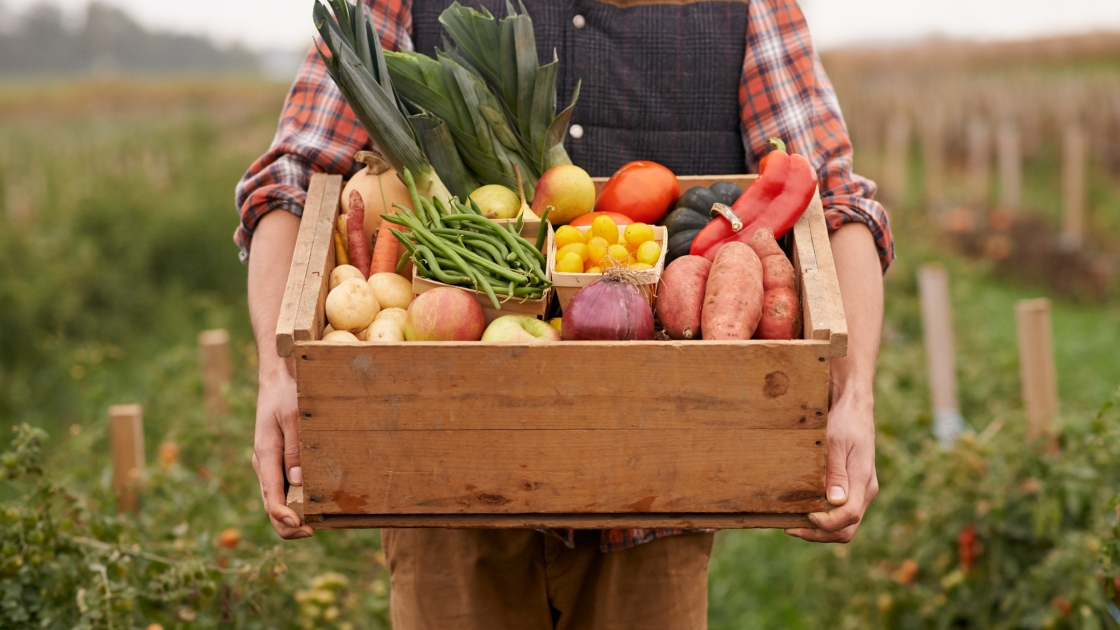 Veggie-Check – Bluttest zur Nährstoffversorgung bei vegetarischer und veganer Ernährung